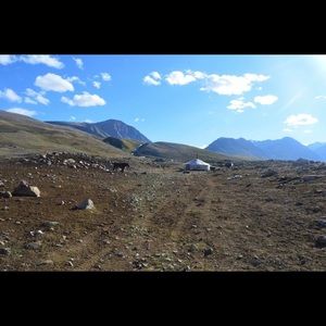 Meet your Posher, Naomi